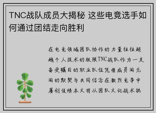TNC战队成员大揭秘 这些电竞选手如何通过团结走向胜利
